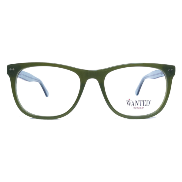 Montura oftálmica de acetato