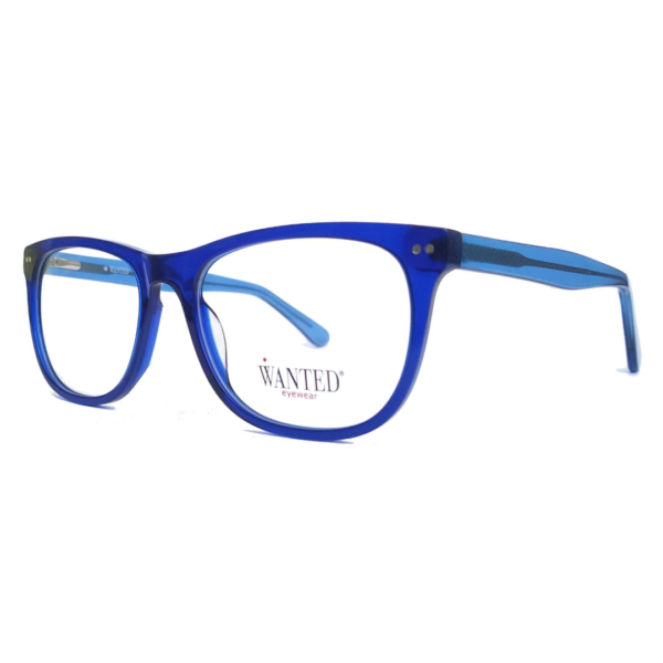 Montura oftálmica de acetato