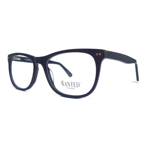 Montura oftálmica de acetato