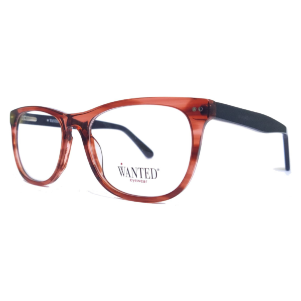 Montura oftálmica de acetato