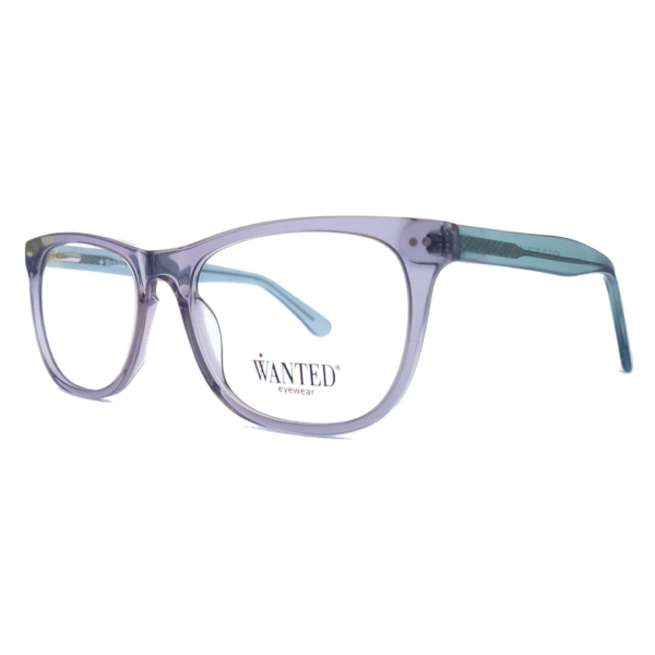 Montura oftálmica de acetato