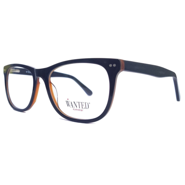 Montura oftálmica de acetato