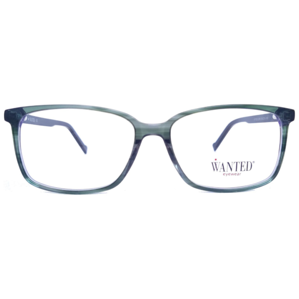 montura oftálmica de acetato