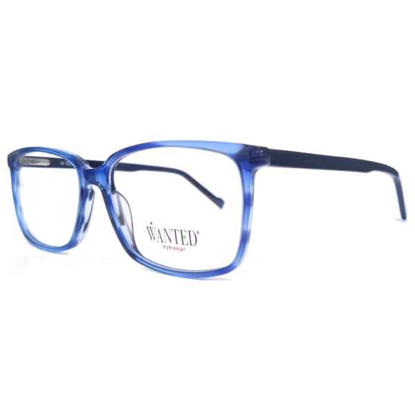 montura oftálmica de acetato