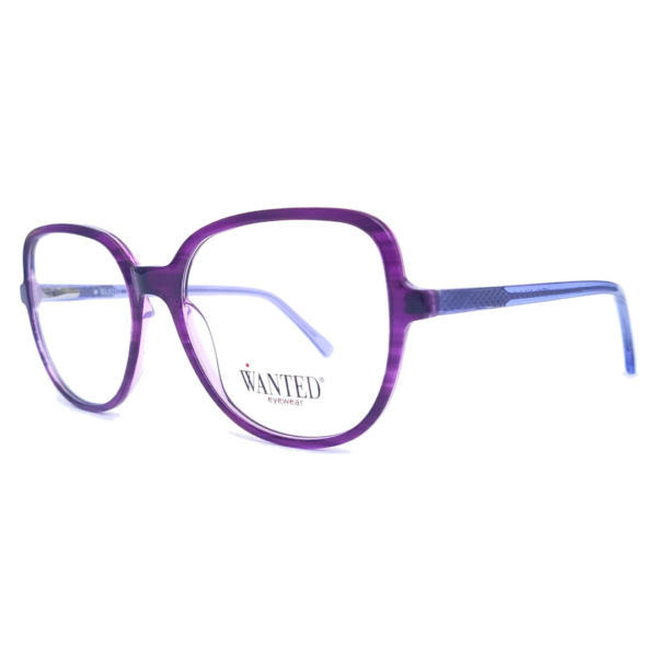 Montura oftálmica de acetato