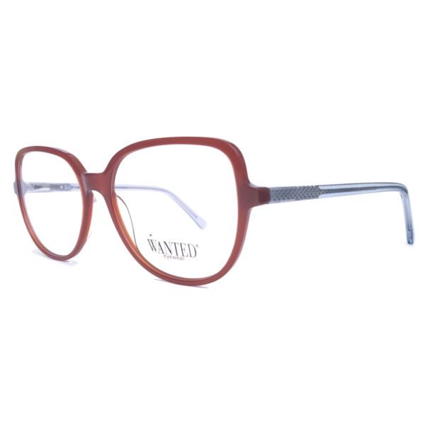 Montura oftálmica de acetato