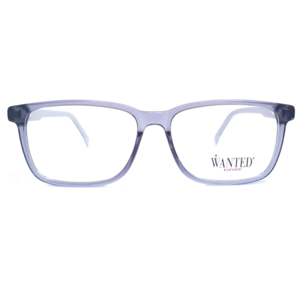 Montura oftálmica de acetato