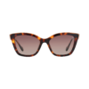 Lente solar polarizado |material acetato|